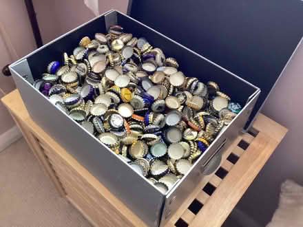Photo of free Beer bottle tops (Barnet, Stirling Corner WD6) #2