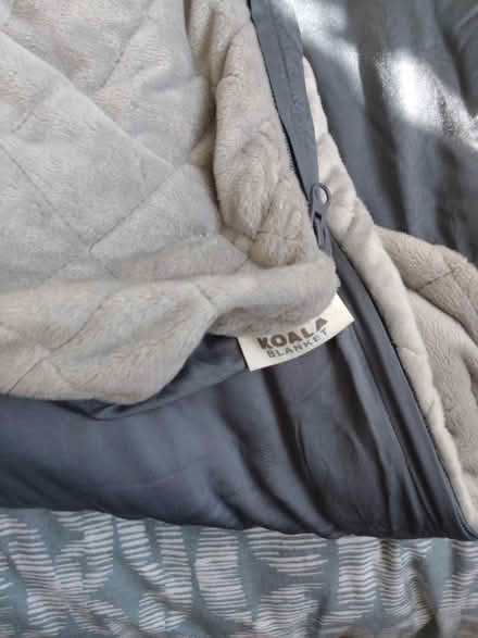 Photo of free Koala Weighted Blanket (TW2 Whitton) #1