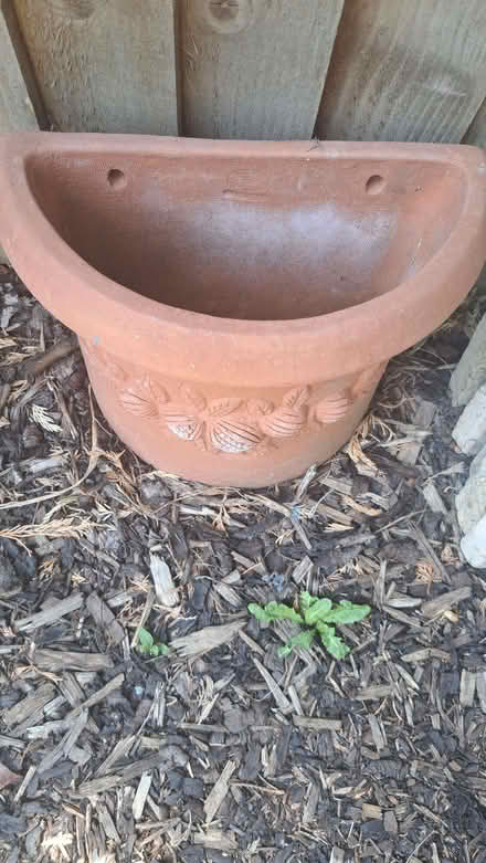 Photo of free Terracotta wall pot/planter (New Marston OX3) #3