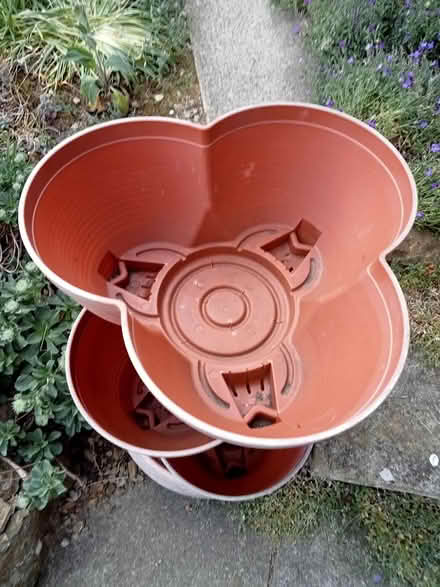 Photo of free One Planter (Tadmarton OX15) #1