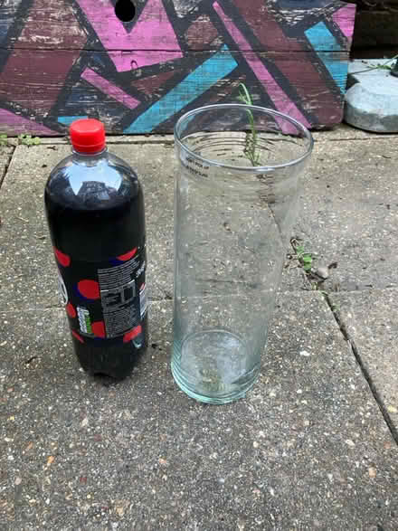 Photo of free Orchid vase (NW7 Bunns Lane) #1