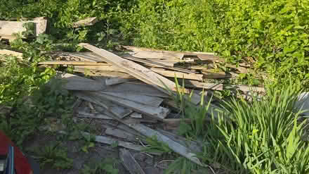 Photo of free Wood (Pontypridd CF37) #1