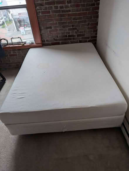 Photo of free Queen mattress set (International District) #1