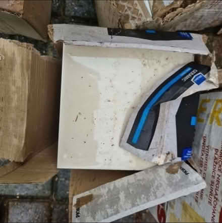 Photo of free Off white / cream square wall tiles (SG19) #1