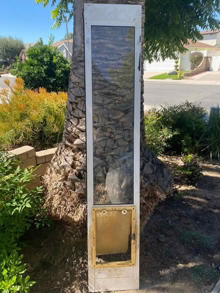 Photo of free Dog door (Valencia, near HMNMH) #2
