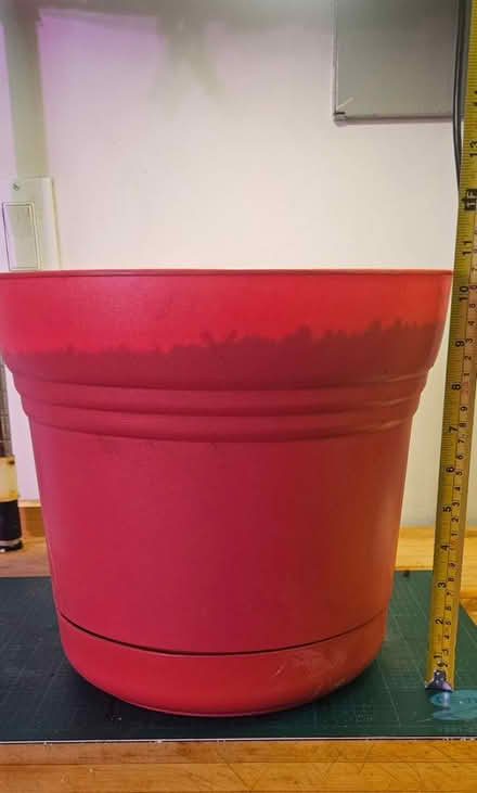 Photo of free Large Coral planter (little italy) #3