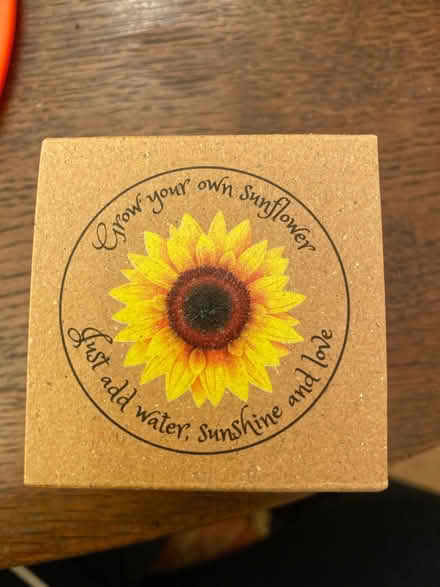 Photo of free Grow your own sunflower kit (Jericho OX1) #1