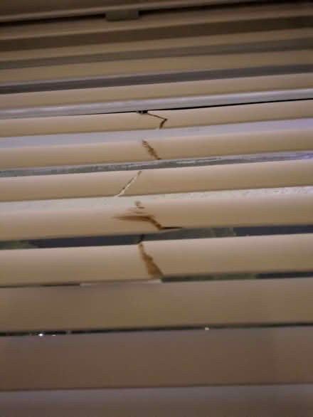 Photo of Wooden venetian blind slats x5 (Carlton Hill BN2) #1