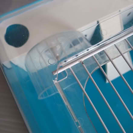 Photo of free Hamster, Mouse, Rodent Cage. (Cheltenham GL52) #4