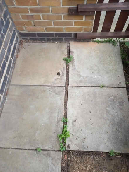 Photo of free 8 Paving Slabs (Cheshunt. EN8.) #1