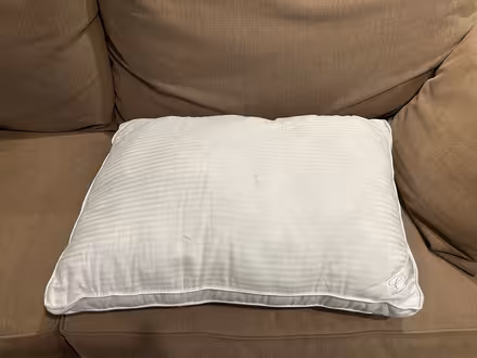 Photo of free Pillow (Ballard) #1