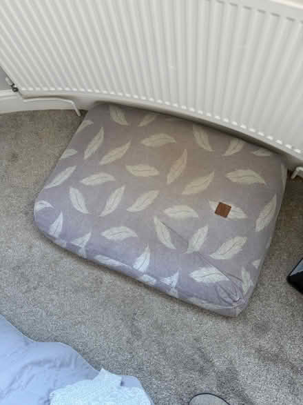 Photo of free Memory foam dog bed (Frodsham WA6) #1