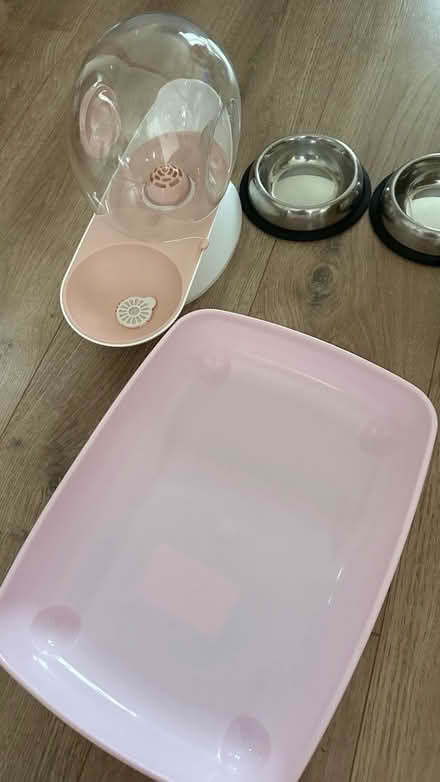 Photo of free Cat litter, bowl, toy water (AL4) #2