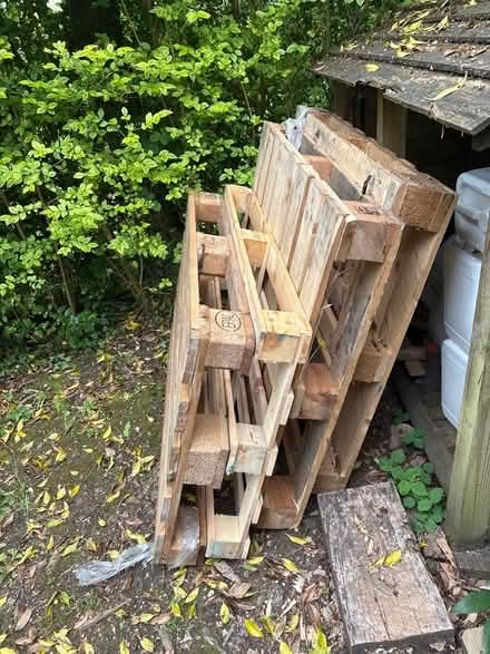 Photo of free 8 pallets (Radnage HP14) #1