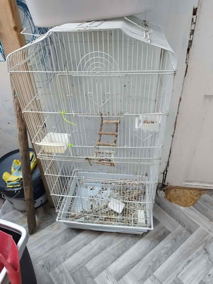 Photo of free Bird cage (Tottenham N17) #1