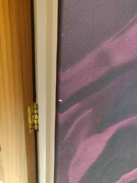 Photo of free Purple Rose Canvas Art Picture (Finchampstead, RG40) #2