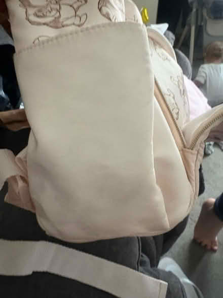 Photo of free Winnie Pooh changing bag (Hailsham BN27) #2