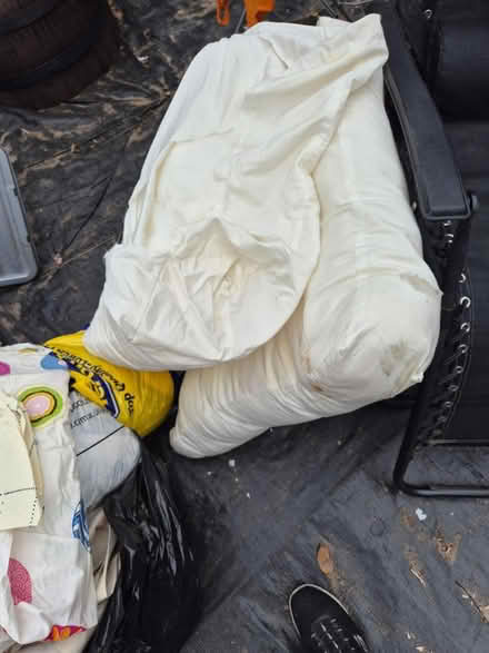 Photo of free stuffing (NG5) #1