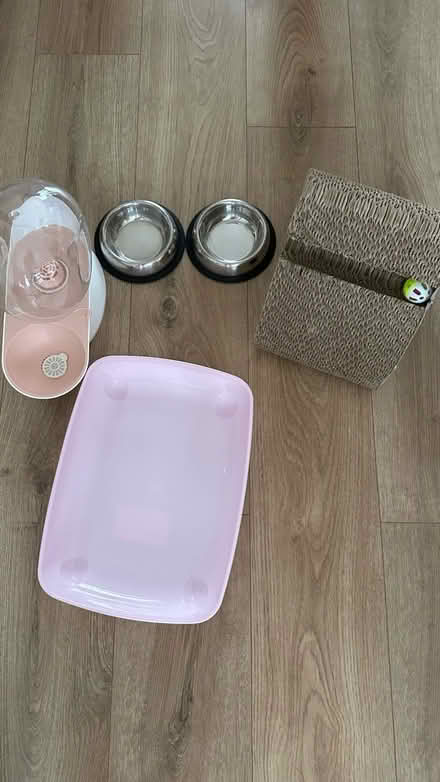 Photo of free Cat litter, bowl, toy water (AL4) #1