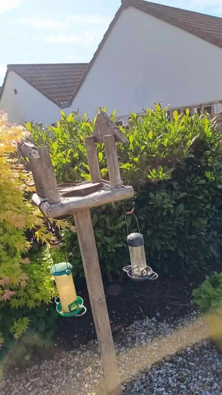 Photo of free Bird table (TQ12 5BW) #2