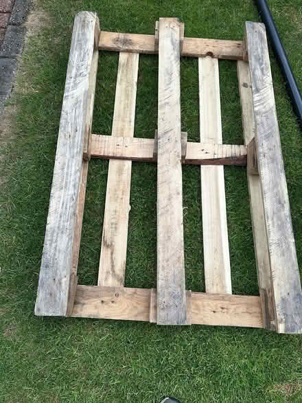 Photo of free Pallet (Canvey ss8) #1