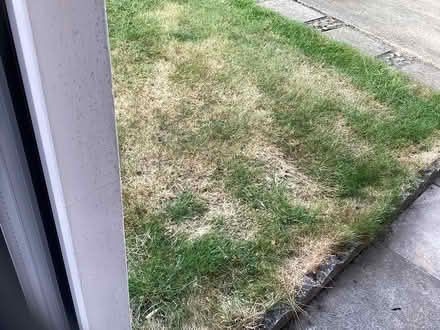 Photo of Lawn Aerator (Hedge End SO30) #1