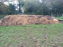 Photo of free horse manure (Battle TN33) #1