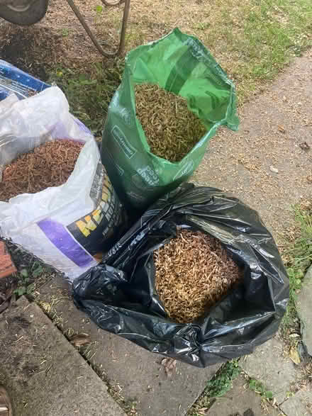 Photo of free Sawdust (Longford GL2) #1