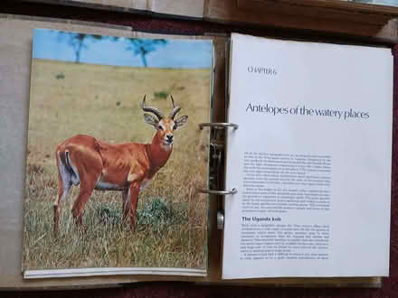 Photo of free World of Wildlife magazines (Cherry Orchard SY2) #2