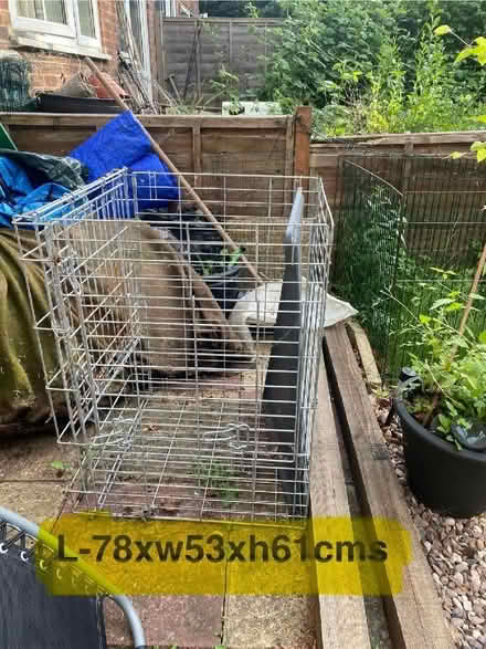 Photo of free Pet cage (Ware SG12) #2