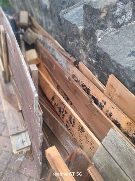 Photo of free Shed wood for repair (Allestree DE22) #3