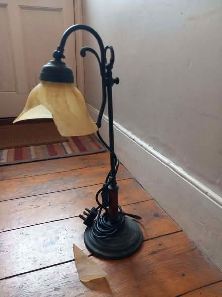 Photo of free Table lamp (Queen's Park BN2) #2