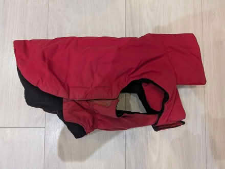 Photo of free Small dog coat (Trumpington CB2) #1