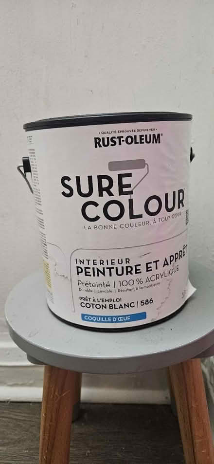 Photo of free White wall paint (little italy) #1
