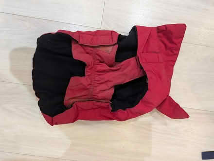 Photo of free Small dog coat (Trumpington CB2) #2