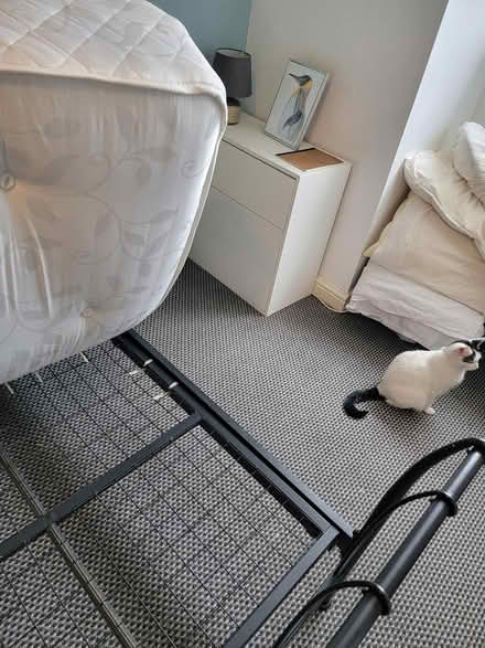 Photo of free Bed (S2 Heeley) #2