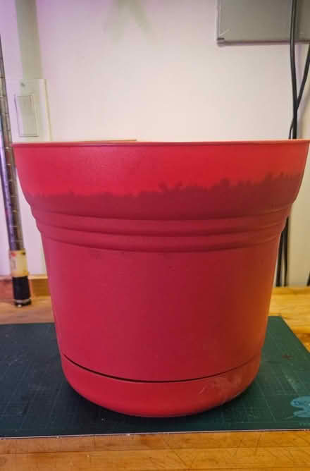 Photo of free Large Coral planter (little italy) #1