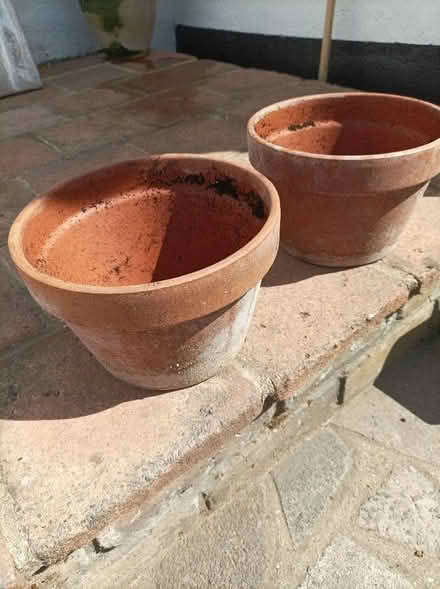 Photo of free 2 Terracotta Pots 25cm (Rochford SS4) #1