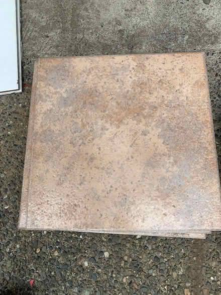 Photo of free Tiles (Lake City/Meadowbrook) #1