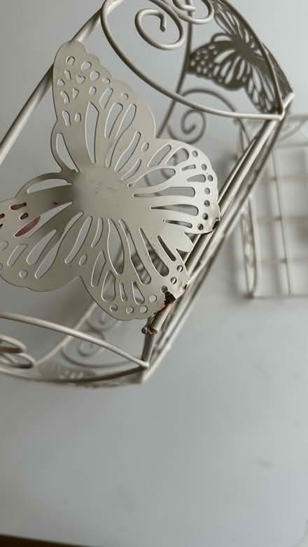 Photo of free Fruit basket and napkin (AL4) #3