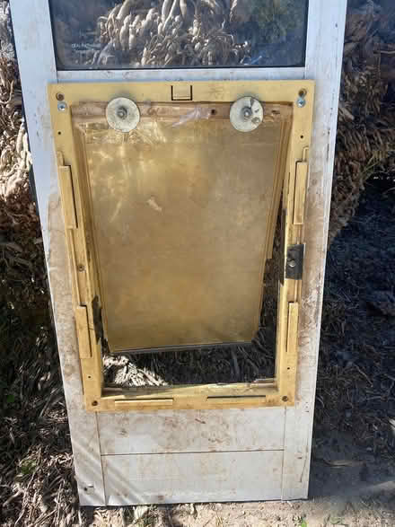 Photo of free Dog door (Valencia, near HMNMH) #3