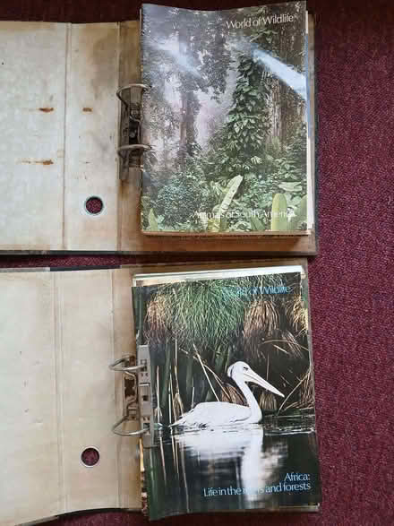 Photo of free World of Wildlife magazines (Cherry Orchard SY2) #1