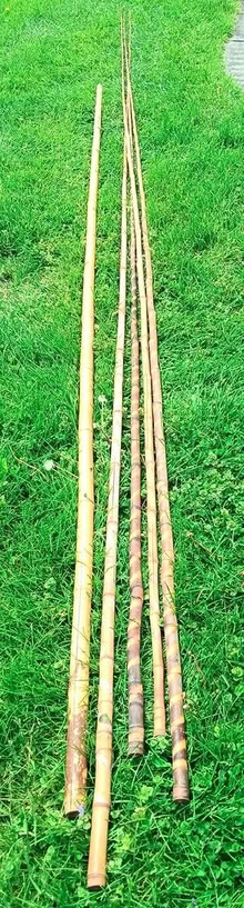 Photo of free Bamboo poles (City of Chelsea) #1