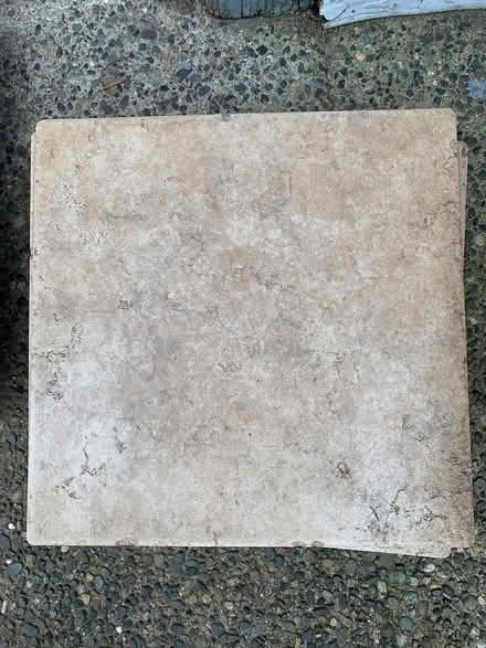 Photo of free Tiles (Lake City/Meadowbrook) #2