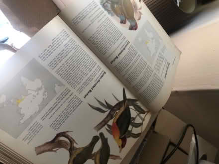 Photo of free Orbis Encyclopaedia of Birds 7 volumes (Southport PR8) #2