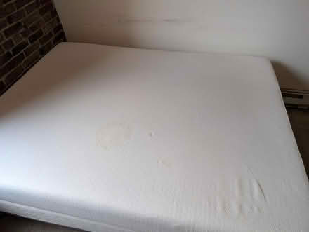 Photo of free Queen mattress set (International District) #3