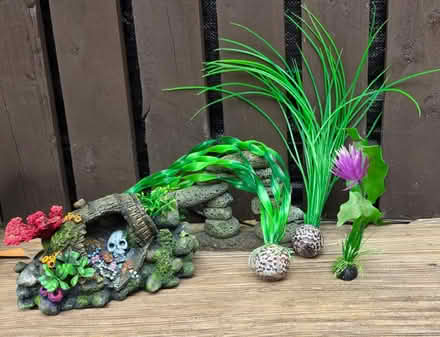 Photo of free Fish Tank Ornaments (Mosborough Sheffield S20) #1