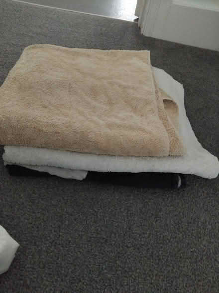 Photo of free 3 bath sheets (SG12) #1