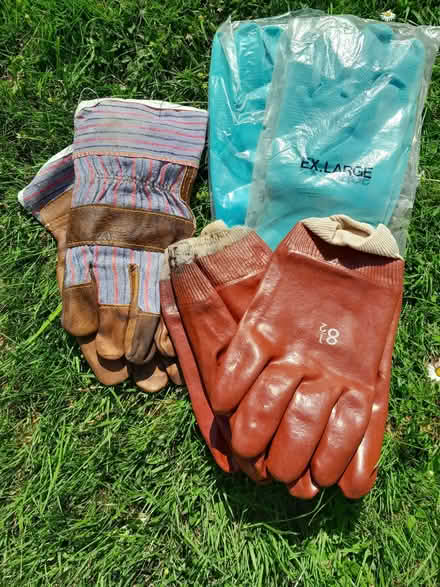 Photo of free Work gloves (The Grange Estate SG6) #1