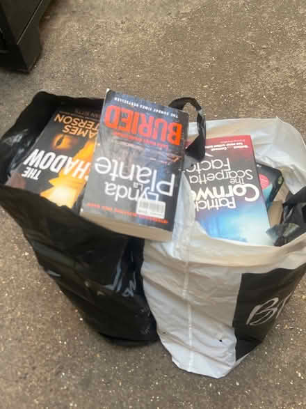 Photo of free 2 bags books (West Hampstead NW6) #1
